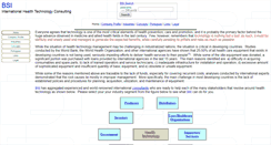 Desktop Screenshot of bsi-consulting.com